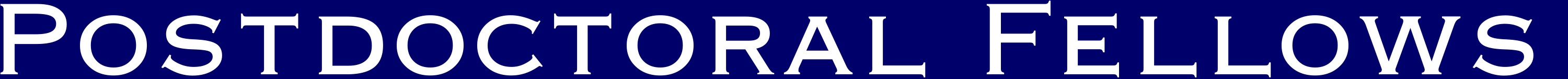 Postdoctoral Fellows